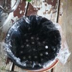 domowy ser z trzech składników