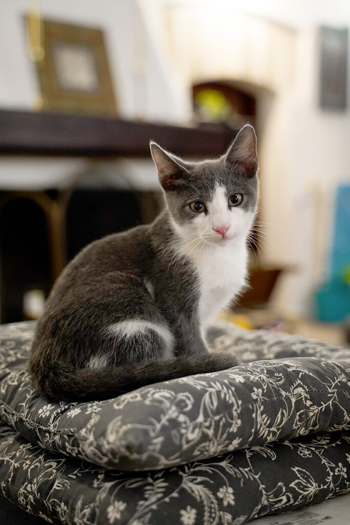 Przepis na pyszną zapiekankę analetti al forno